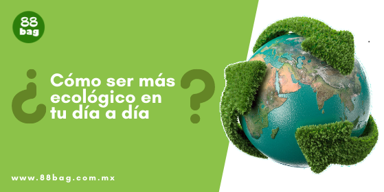 Cómo ser ecológico