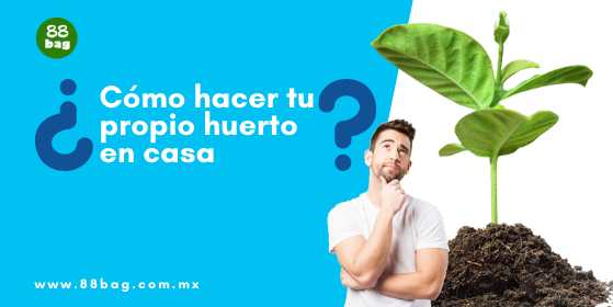 ¿Cómo hacer tu propio huerto en casa?