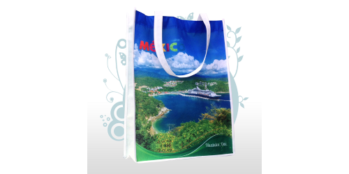Bolsas Ecológicas Sublimadas